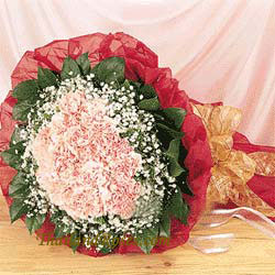 36 Pink carnations Hand bouquet