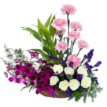 Basket of 15 Roses and 6 Orchids