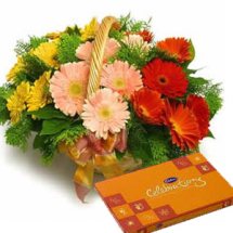 20 Gerberas basket celebration