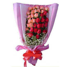 24 pink red roses bouquet