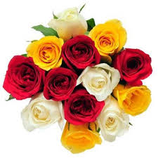 12 mix color roses bouquet