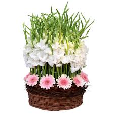 50 gerberas and gladioli in a basket