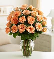 12 orange roses in a vase