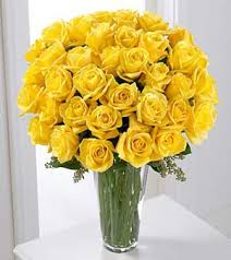 36 yellow roses in a glass vase