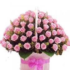 150 pink roses basket